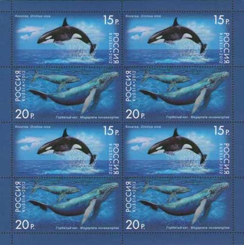 Fauna of Russia. Whales.