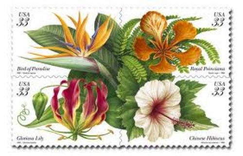 Stamps; Tropical Flower Stamps - USA; 33 cents