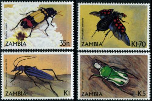 Beetles 4v; Year: 1986