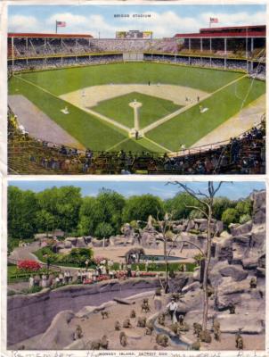 Detroit Tigers Briggs Stadium 1940s postcard size photo
