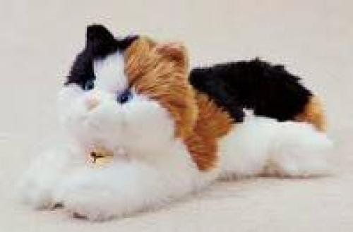Stuffed Lovable Cat