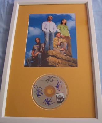 Hootie and the Blowfish autographed Cracked Rear View CD framed with 8x10 photo