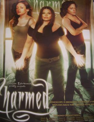 Charmed 2010 17x22 inch promo poster Rose McGowan Alyssa Milano MINT