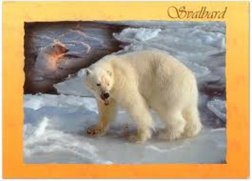 Norway: Polar Bear Stamp and Postcard (2008)