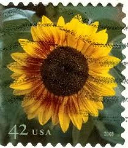 Stamps;  USA - Stamp, 2008 sunflower 42c