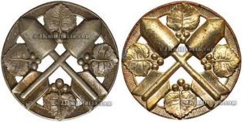 Czech and Slovak militaria, badges,