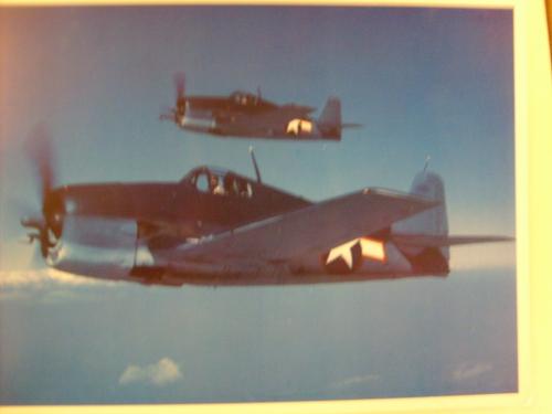 Grumman WW2 F6F Hellcat aircraft photo and data